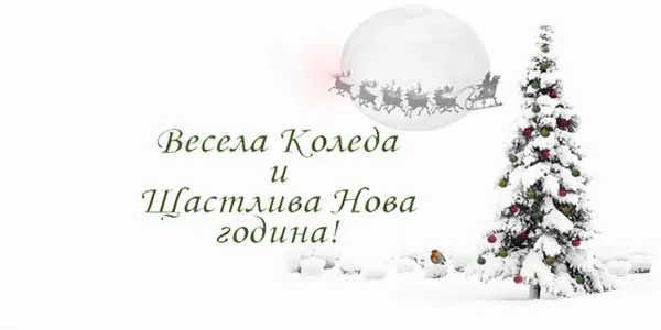 Merry Christmas and Happy New Year!